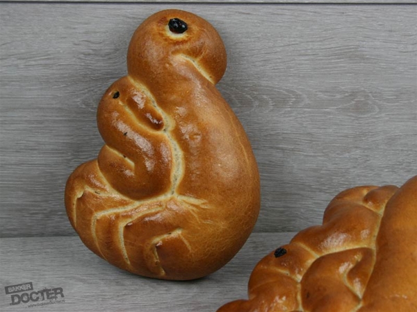 Zwaan met 1 zwaantje